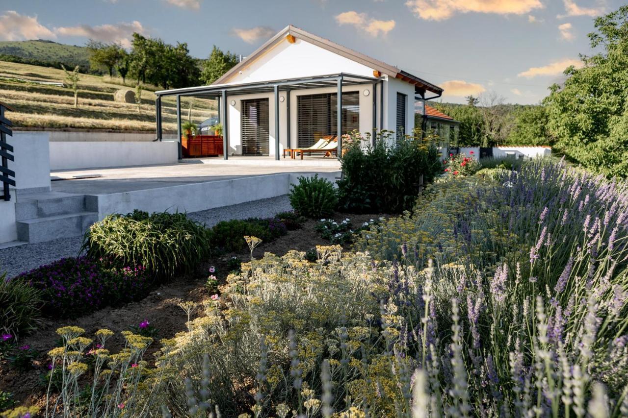 Sunny Hill * Vremski Britof